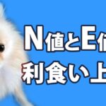 FX N値とE値を知って利食い上手になる。