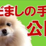 FX なぜダマシは起こるのか？そのメカニズムと対策。