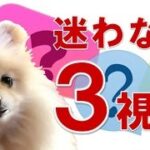 FX（為替）チャート分析で迷わない３つの視点。一問一答