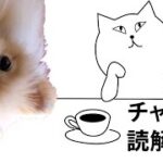 チャート読解問題#001