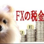 FXの税金、確定申告は必要？個人と法人、国内口座と海外口座、どう違うの？