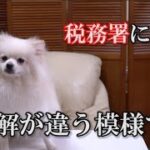 仮想通貨　税金の話 結局まだ税務署によって対応が違う　暗号通貨