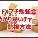 FXプチ勉強会 《分かり易いチャート監視方法》