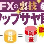 【FX裏技】スワップサヤ取りとは？｜為替変動リスクを排除して稼ぐ方法