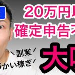副業の稼ぎが20万円以下だったら、本当に確定申告はしなくていいのか？サラリーマンや主婦の副業と税金のお話【税理士が解説】