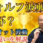 【FX】ウォルフ波動は聖杯になりうるのか？エリオット波動との違い