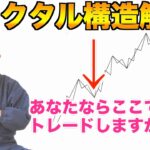 【FX】フラクタル構造とは？有効活用法を解説