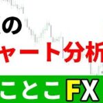 初心者でもわかるFXチャート分析の方法