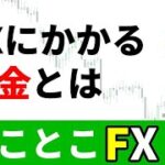 初心者でもわかるFXにかかる税金とは