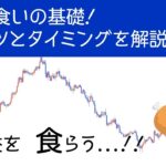 【利確】FXはどこで利確したら良い？