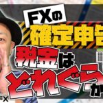 FXの確定申告！税金はどれぐらいかかる？