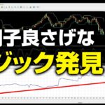 【FX】ほぼチャートを見なくても稼げると噂の手法を検証したら、まさかの結果に・・・！？