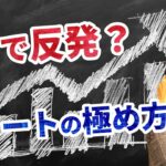 株やFX、BTCの反発ポイントをチャート上で見つける手法！徹底解説《水平線の描き方徹底マスター》エントリーポイントが分かるようになる！