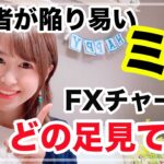 FXトレード、チャートは何分足を見てる？FX初心者がよくやるミス！木を見ず森をみよ♪