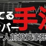 勝率７６%FX投資手法「エントリー回数１０２回」ピンバー手法です😺