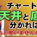 【FX】チャートの天井と底のタイミングを知りたくないですか？相場の転換を教えてくれるインジケーター公開！