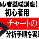 【初心者FX講座】初心者用チャートの見方・分析手順実践公開【投資家プロジェクト億り人さとし】