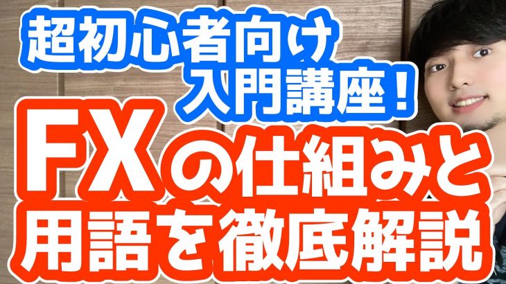 【超初心者向け】FXってなに？仕組みと基本的な用語を解説！~集中講座 Part 1~【入門講座】