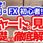 【FX】初心者脱却！超基礎的なローソク足チャートの見方を1から徹底解説！~集中講座Part4~