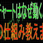 【FX】チャートはなぜ動く？FXの価格が動く理由をお話しします。