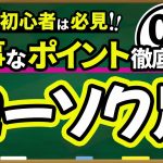 【FX入門講座 】 初心者必見！はじめてのローソク足！
