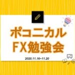 FXチャートは決まった場所で決まった動きを繰り返す【ポコニカル勉強会③】