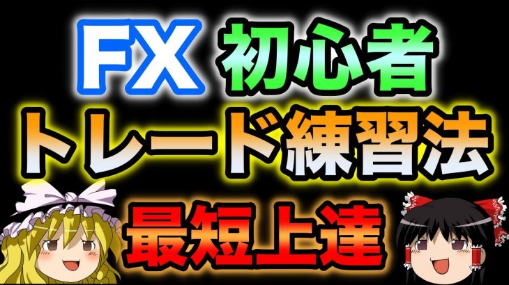 【最短で上達】FX初心者のトレード練習法