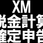 XMの税金と確定申告を徹底解説