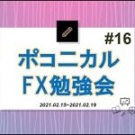 FXチャートは同じ動きを繰り返すから取る為に苦行♪苦行♪【ポコニカル勉強会⑯】