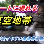 【FX】チャートにある真空地帯を意識する