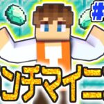 生放送でダイヤモンドを大量にゲットせよ!!久しぶりのブランチマイニング!!マイクラ実況Part202【マインクラフト】