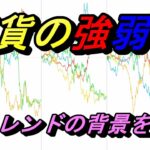 【FX】通貨の強弱チャートを利用してトレンドの背景を探る