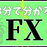 【ゆっくり解説】3分で分かるFX