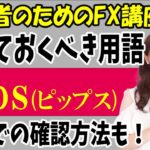 【為替FX】覚えておくべきFX用語！Pipsって何？MT4での確認方法も！.txt【投資家プロジェクト億り人さとし】