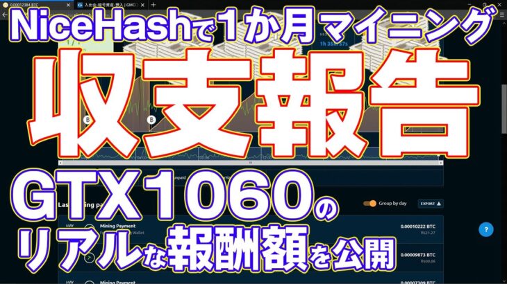 【マイニング収支報告】NiceHashで1か月マイニングをしたので報酬を出金する！GTX1060のリアルな報酬額を大公開