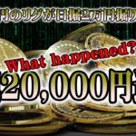 【マイニング】仮想通貨マイニング日掘１万円のリグ（RIG）で、何もしてないのに日堀２万円達成！！
