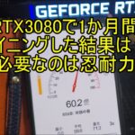 RTX3080を1か月間動かした結果、ナイスハッシュでマイニング