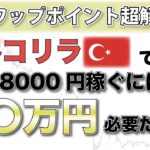 【トルコリラでFIRE】スワップポイントの基本と運用シミュレーション！