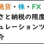 仮想通貨・株・FXで利益を出している人はふるさと納税の限度額をシミュレーションしておこう
