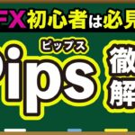 【 FX 入門講座 】Pips（ピップス）の意味や仕組みをわかりやすく解説！