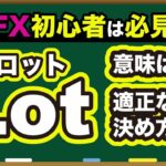 【 FX 入門講座 】ロット数の意味と適正なロット数の決め方をわかりやすく解説！