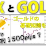 【ゴールドでトレード】FX初心者向けゴールドの基礎知識！トレードの注意点も！
