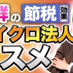 法人と個人事業のいいとこ取り！【マイクロ法人】理由と条件を解説