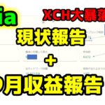 Chiaマイニング9月現状報告+収益報告！