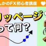 【fx初心者基礎基本】スリッページって何？利益に影響します！損するの？得するの？