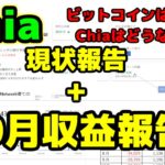 Chiaマイニング10月現状報告+収益報告！(再)