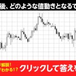 FX初心者必見！水上紀行氏の知っておきたいチャート分析１