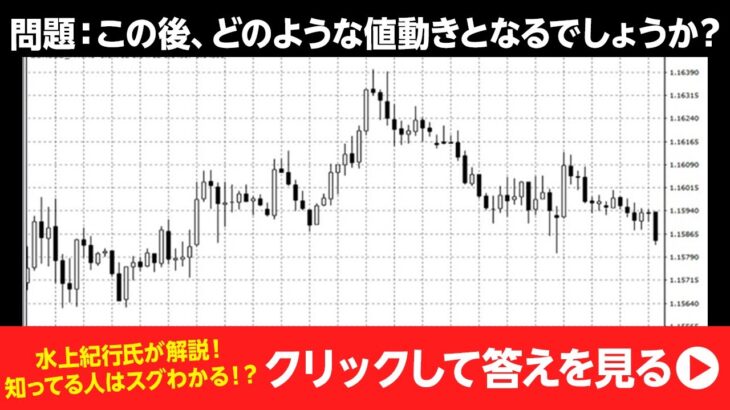 FX初心者必見！水上紀行氏の知っておきたいチャート分析１