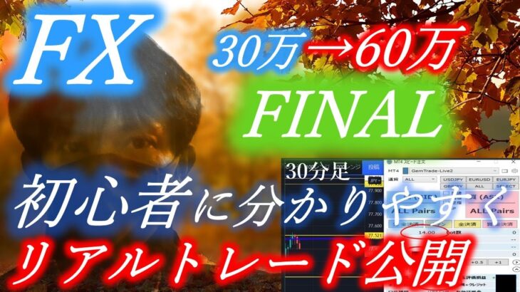 【FX 水平線手法の極意】～リアルトレード公開 ～   FX初心者に分かりやすく【スキャルピング】【 デイトレード】