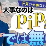 FXは金額 いくらpips稼いでも無意味！！